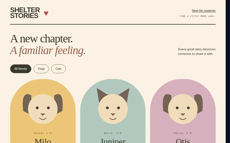 Preview of Shelter Stories — adoption board